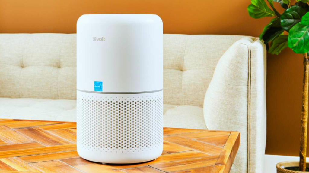 Air Purifier for Allergies and Asthma