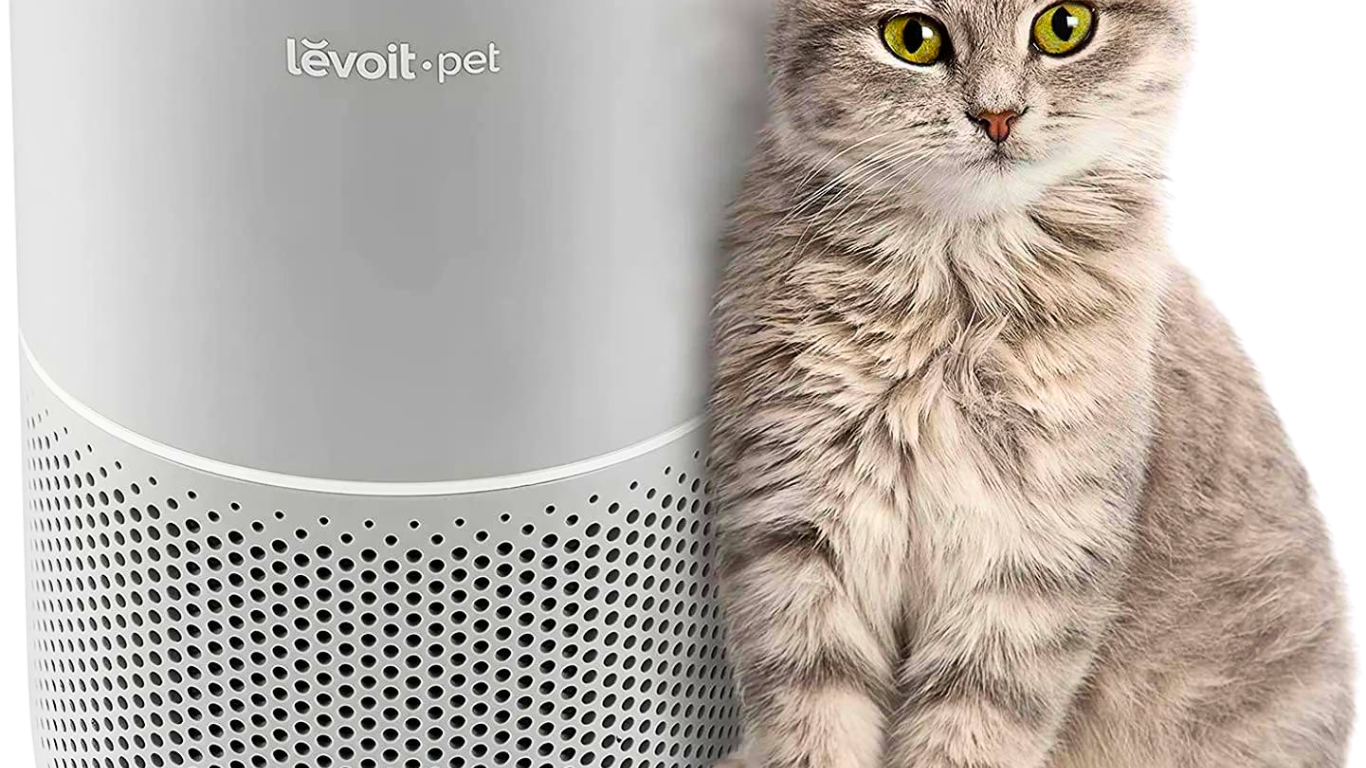 Best Top Air Purifiers for Cat Allergies Models to Breathe Easier in 2024